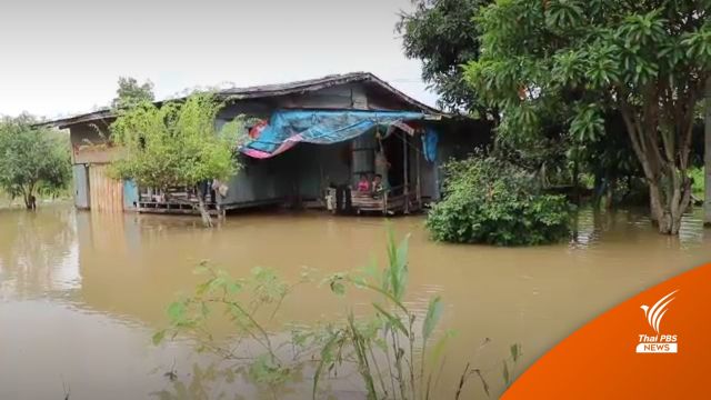 จ.ปัตตานี น้ำยังท่วมสูง ประกาศพื้นที่ภัยพิบัติทั้ง 12 อำเภอ