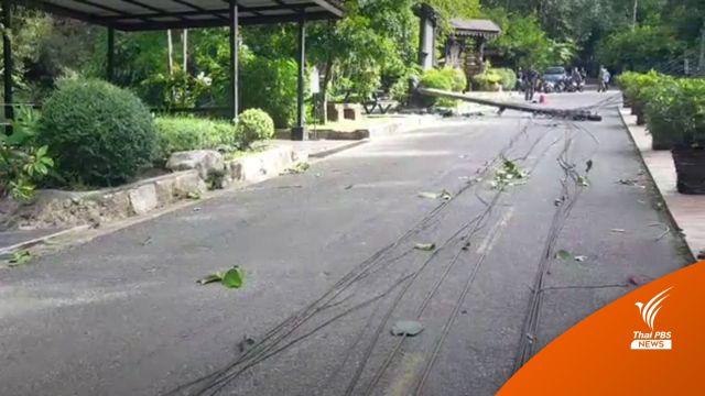 เสาไฟล้มทับนักท่องเที่ยวอุทยานฯ น้ำตกพลิ้ว เสียชีวิต 1 คน