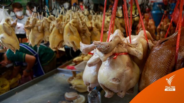 กรมอนามัย แนะนำประชาชน ไข้หวัดนก H5N1 ป้องกันได้