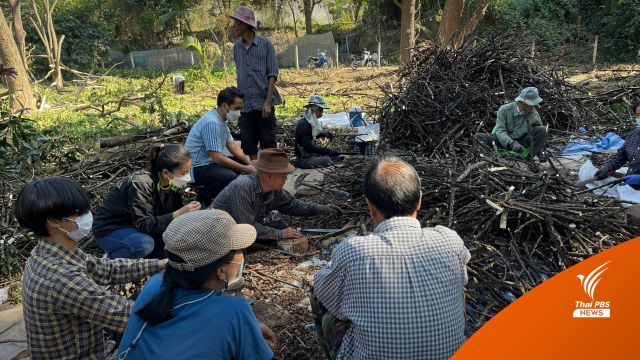 “ลำปาง” หยุดเผาป่า หวั่นกระทบ “ครั่ง” แมลงเศรษฐกิจหลักล้าน