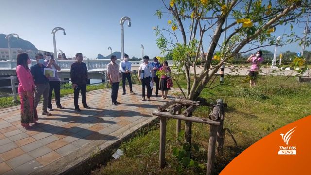 ขีดเส้น 1 เดือน! ผู้ว่าฯพังงา สั่งสอบจัดซื้อ "ทองอุไร" ต้นละ 6 พัน - ชุดน้ำพุ 6 ล้าน