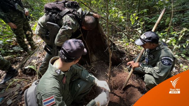 EOD สอบปมระเบิดกลางป่าผาแดง พบรอยระเบิด-อุปกรณ์พราง 