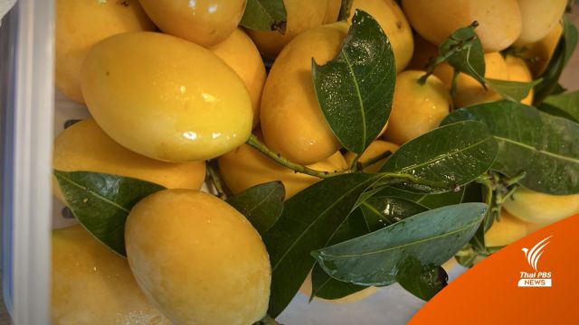 ผลตรวจ "อาหารและน้ำ" พื้นที่ปราจีนบุรี ไม่พบซีเซียม-137 