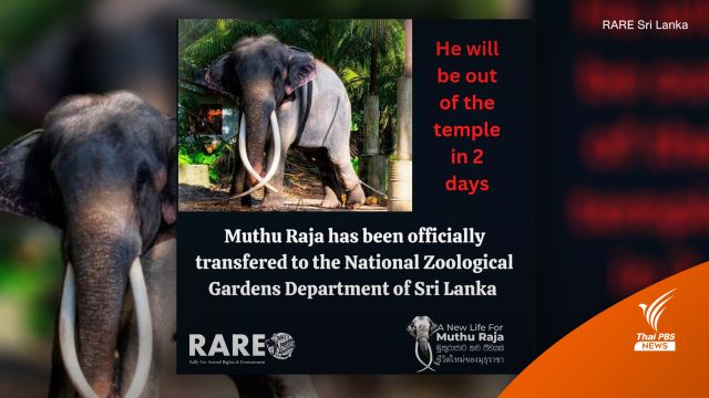ทวงคืน "พลายศักดิ์สุรินทร์" จากศรีลังกากลับไทย
