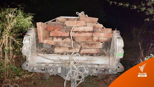 ลูบคม! ลอบตัดไม้ประดู่อายุ 100 ปีจากอุทยานฯ ออบหลวง 