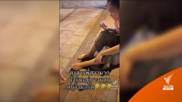 โซเชียลแชร์ "บางแสน" หนูชุก-วิ่งกัดนักท่องเที่ยว