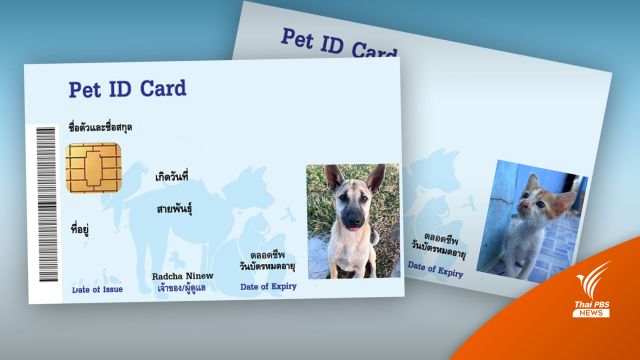 “ก้าวไกล” เล็งนำร่อง กทม.ทำบัตรประจำตัว "หมา-แมว"