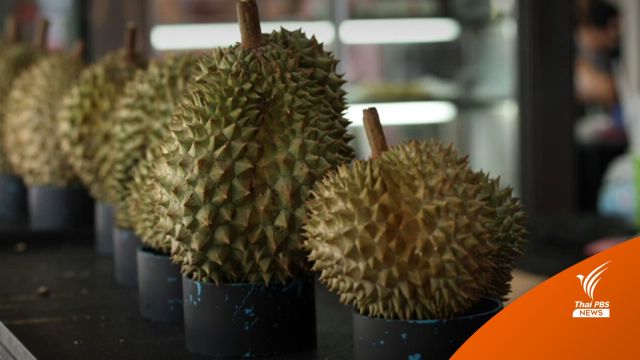 "ทุเรียนขาดตลาด" ราคาพุ่งโลละเกือบ 300 บาท 