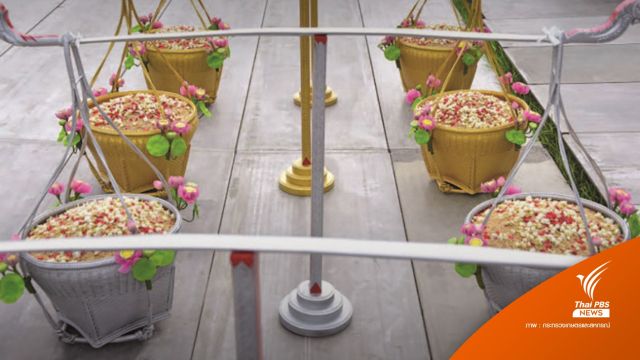 6 "พันธุ์ข้าว" ในพระราชพิธีพืชมงคลจรดพระนังคัลแรกนาขวัญ