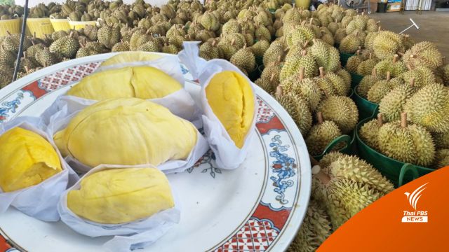 ผู้โดยสารโปรดทราบ ห้ามนำ “ทุเรียน” ขึ้นรถเมล์