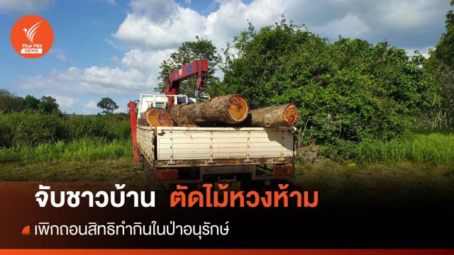 เพิกถอนสิทธิทำกิน 8 ชาวบ้านในป่าอนุรักษ์ ลอบตัดไม้หวงห้าม