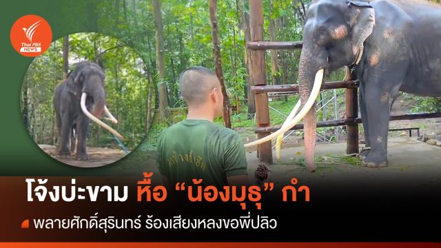 "มุธุ-พลายศักดิ์สุรินทร์" ร้องขอบ่ะขาม-โชว์สกิลดูดน้ำจากสายยาง 