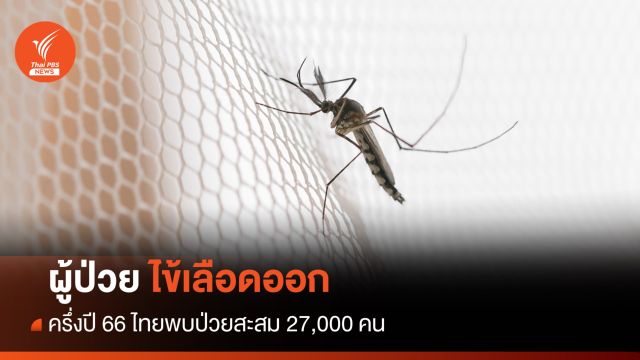 ครึ่งปี 66 พบผู้ป่วย "ไข้เลือดออก" ในไทยสะสมกว่า 27,000 คน 