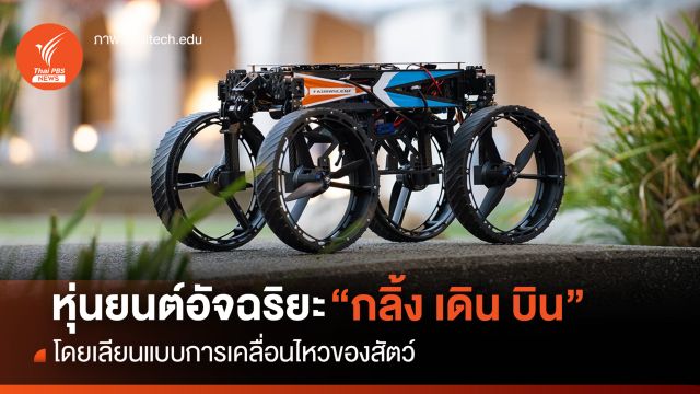 Transformers ในชีวิตจริง! หุ่นยนต์ M4 เลียนแบบการเคลื่อนไหวสัตว์ "กลิ้ง เดิน บิน"