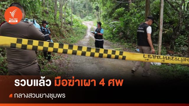 รวบแล้วมือฆ่าเผา 4 ศพกลางสวนยางชุมพร 