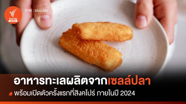 อาหารทะเลผลิตจากการเพาะเลี้ยงเซลล์ปลา ปกป้องมหาสมุทร ลดการทำร้ายสัตว์