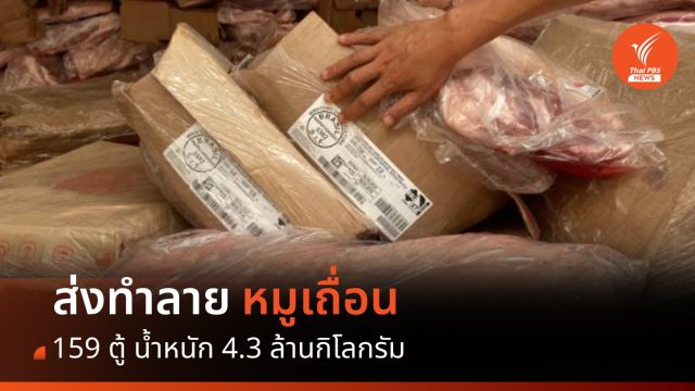 กรมศุลกากร ส่งทำลาย "หมูเถื่อน" 159 ตู้ 4.3 ล้านกิโลกรัม