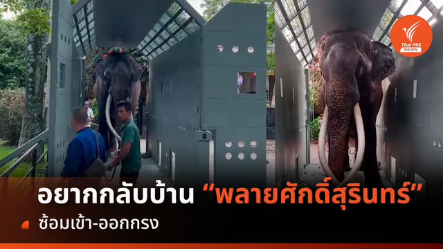อยากกลับบ้าน! “พลายศักดิ์สุรินทร์” ไม่ตื่นเต้น ซ้อมเข้า-ออกกรง 