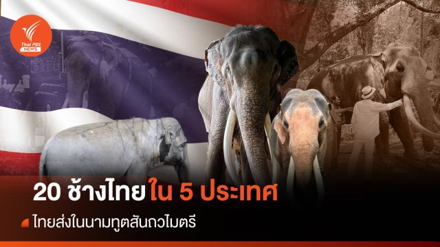 ไทยส่ง "ช้างไทย" ทูตสันถวไมตรี 20 เชือก