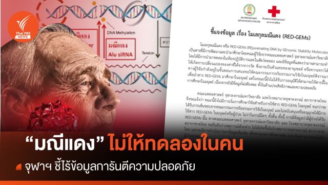 จุฬาฯ ยืนยัน "โมเลกุลมณีแดง" ยังไม่อนุมัติทดลองในคน 
