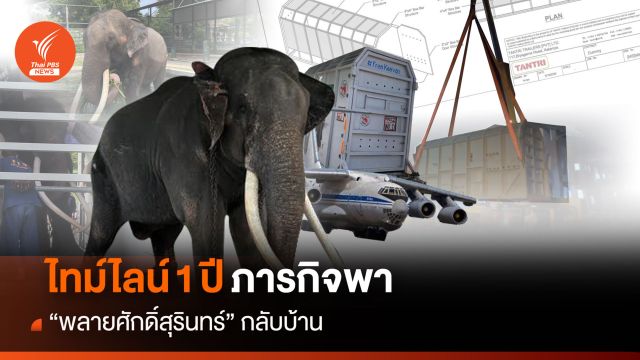ไทม์ไลน์ 1 ปีภารกิจพา “พลายศักดิ์สุรินทร์” กลับบ้าน
