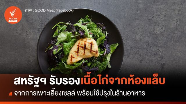 จากห้องแล็บสู่จานอาหาร สหรัฐฯ อนุมัติให้ขายเนื้อไก่จากการเพาะเลี้ยงเซลล์