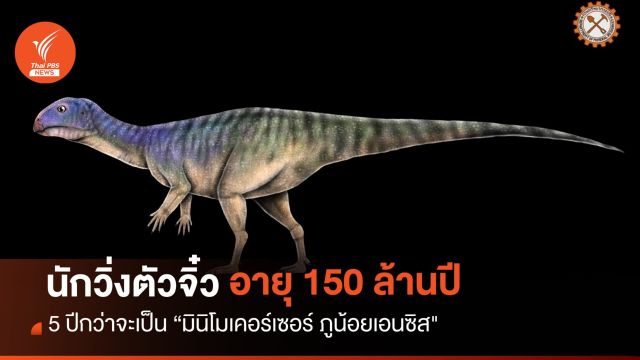 5 ปีกว่าจะเป็น “มินิโมเคอร์เซอร์ ภูน้อยเอนซิส" 