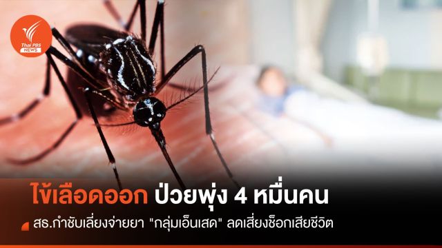 ป่วยไข้เลือดออกพุ่ง สธ.กำชับเลี่ยงจ่ายยา "กลุ่มเอ็นเสด" ลดเสี่ยงช็อกเสียชีวิต