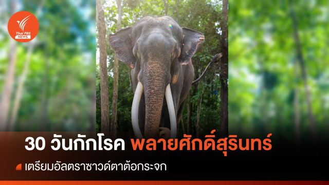 "พลายศักดิ์สุรินทร์" กักโรคครบ 30 วัน เตรียมอัลตราซาวด์ตาต้อกระจก