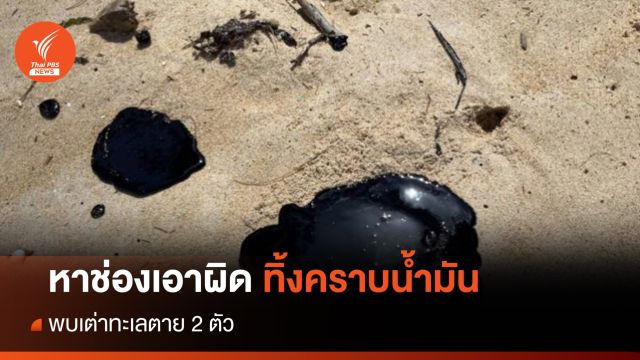 เอาผิดไม่ได้! เรือท่องเที่ยวทิ้งคราบน้ำมันหาดภูเก็ต