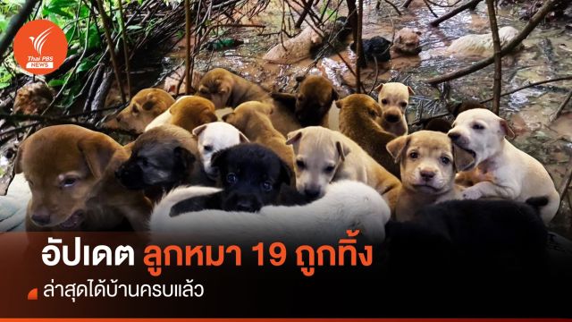 อัปเดต " 19 ลูกหมา" ถูกทิ้ง ล่าสุดได้บ้านครบแล้ว
