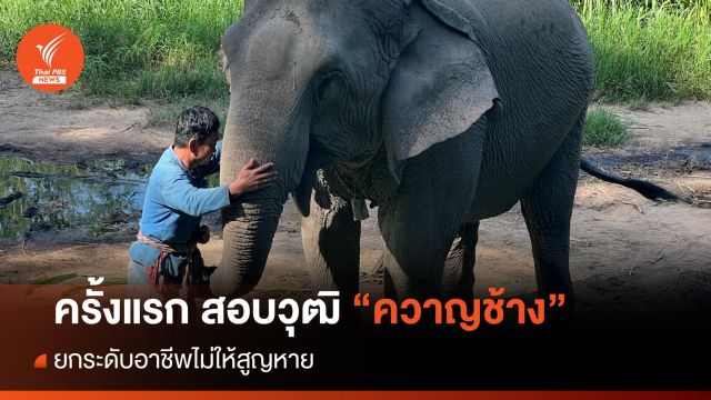 ครั้งแรกของโลก! อ.อ.ป.สอบคุณวุฒิอาชีพ "ควาญช้าง"