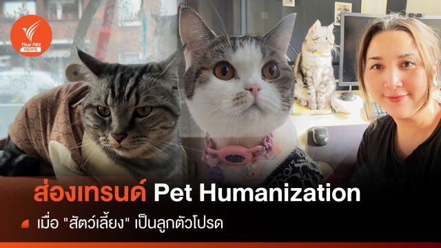 วันแม่ 2566 : ตัวลูก ตัวบุตร ตัว 4 ขา เมื่อ "สัตว์เลี้ยง" เป็นลูกตัวโปรด 
