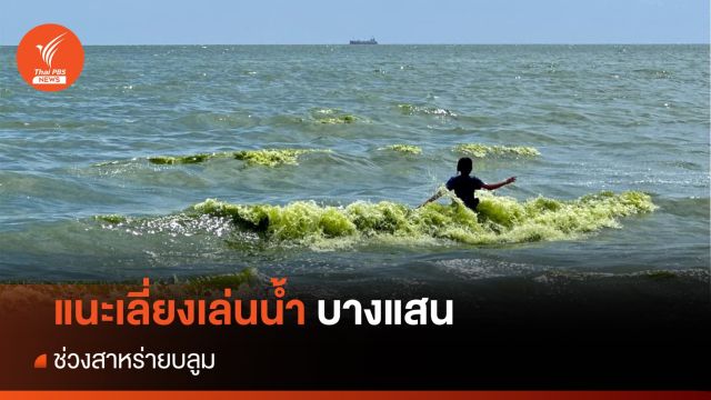ผู้เชี่ยวชาญแนะเลี่ยงเล่นน้ำบางแสน ช่วงสาหร่ายบลูม    