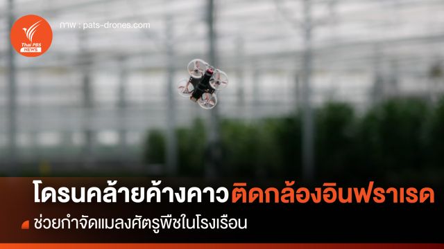 โดรนรูปร่างคล้ายค้างคาว ติดตั้งกล้องอินฟราเรด ช่วยกำจัดแมลงศัตรูพืชในโรงเรือน