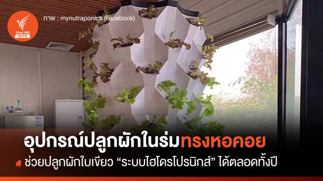 อุปกรณ์ปลูกผักทรงหอคอยระบบไฮโดรโปรนิกส์ ช่วยปลูกผักใบเขียวในร่มได้ตลอดทั้งปี