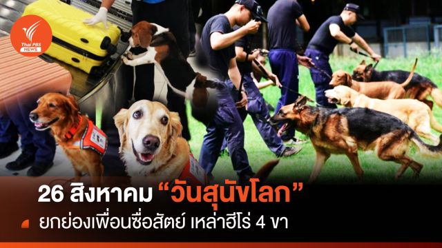26 ส.ค. “วันสุนัขโลก” ยกย่องเพื่อนซื่อสัตย์ เหล่าฮีโร่สี่ขา