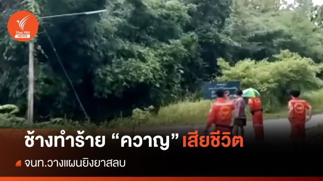 ช้างทำร้าย "ควาญ" เสียชีวิต จนท.เล็งยิงยาสลบ