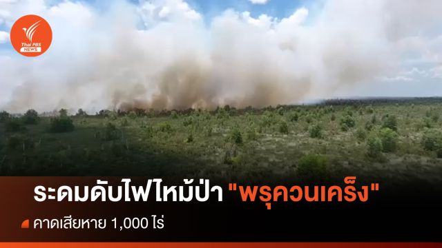 ระดมดับไฟไหม้ป่า "พรุควนเคร็ง" นครศรีฯ คาดเสียหายพันไร่ 