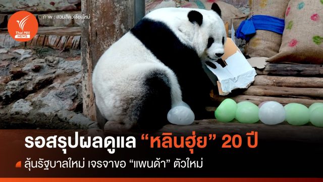 รอลุ้นรัฐบาลใหม่ เจรจาขอ "แพนด้า" ตัวใหม่แทน "หลินฮุ่ย" ไทยยันพร้อมดูแล  