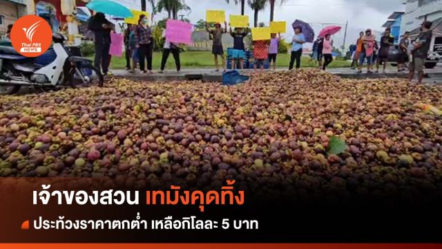 "พาณิชย์" ยันช่วยเกษตรกรชาวสวนมังคุดประสานพ่อค้ารับซื้อ  