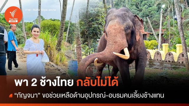เกินความสามารถ "กัญจนา" โพสต์นำ "2 ช้างไทย" กลับไม่ได้ 