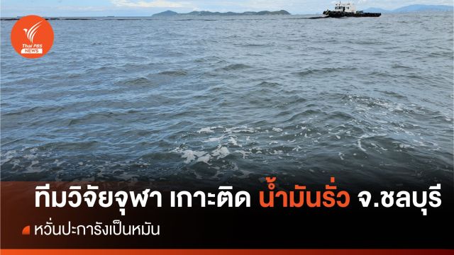 ทีมวิจัยจุฬาเกาะติด "น้ำมันรั่วกลางทะเล" จ.ชลบุรี หวั่นปะการังเป็นหมัน 