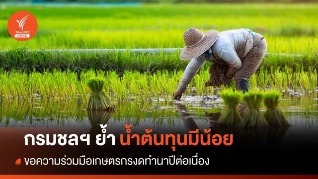กรมชลฯ ขอเกษตรกรงดทำนาปีต่อเนื่อง เหตุน้ำต้นทุนมีน้อย
