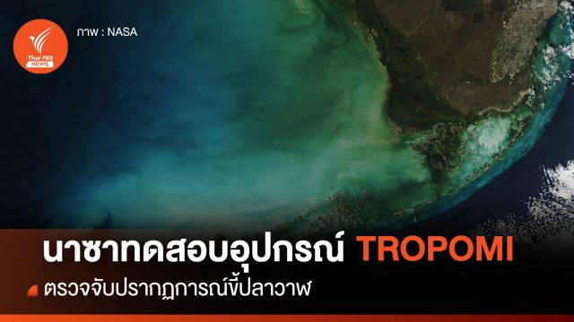 "องค์การนาซา" ทดสอบอุปกรณ์ TROPOMI ตรวจจับ "ปรากฏการณ์ขี้ปลาวาฬ"