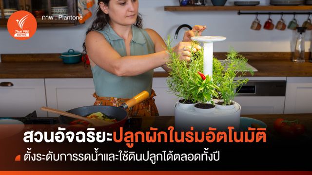 สวนอัจฉริยะรดน้ำอัตโนมัติ ปลูกผักในร่มได้ตลอดทั้งปี