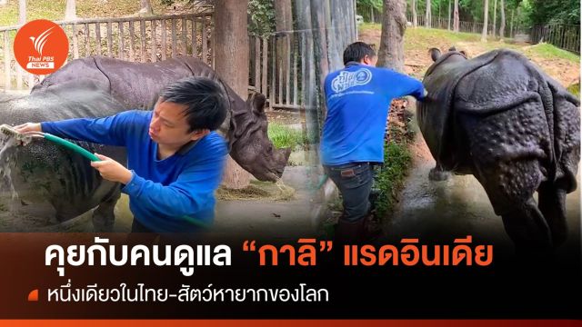วันแรดโลก : เปิดใจ "เคน" คนเลี้ยง "กาลิ" แรดอินเดียหายากหนึ่งเดียวในไทย