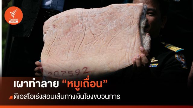 เผาทำลาย "หมูเถื่อน" ล็อตแรก 10 ตู้จาก 161 ตู้ เร่งสืบเส้นทางเงินโยงขบวนการ
