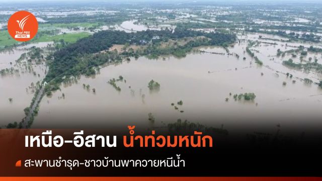 น้ำท่วมหนัก! เหนือ-อีสาน สะพานชำรุด ชาวบ้านพาควายหนีน้ำ