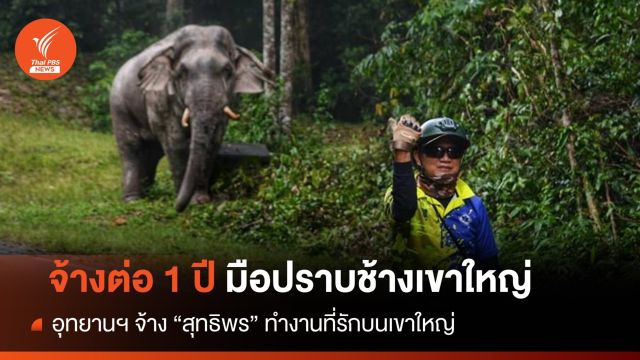 จ้าง "สุทธิพร" มือปราบช้างป่าเขาใหญ่ทำงานที่รักต่ออีก 1 ปี 